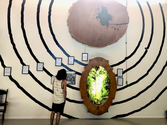 kauri Museum New Zealand
