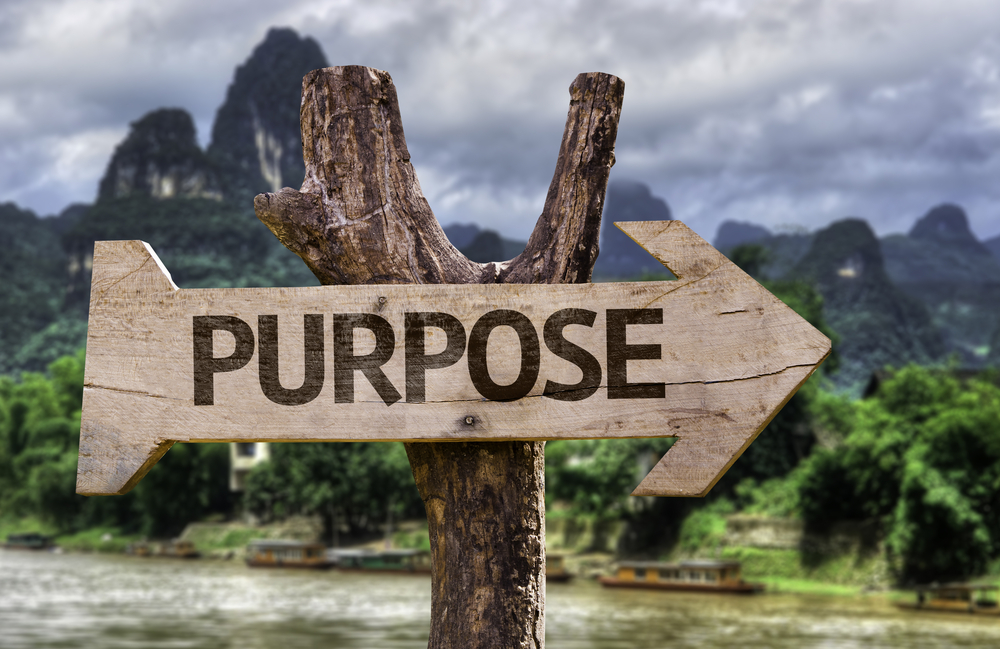 rustic wood sign post arrow saying purpose